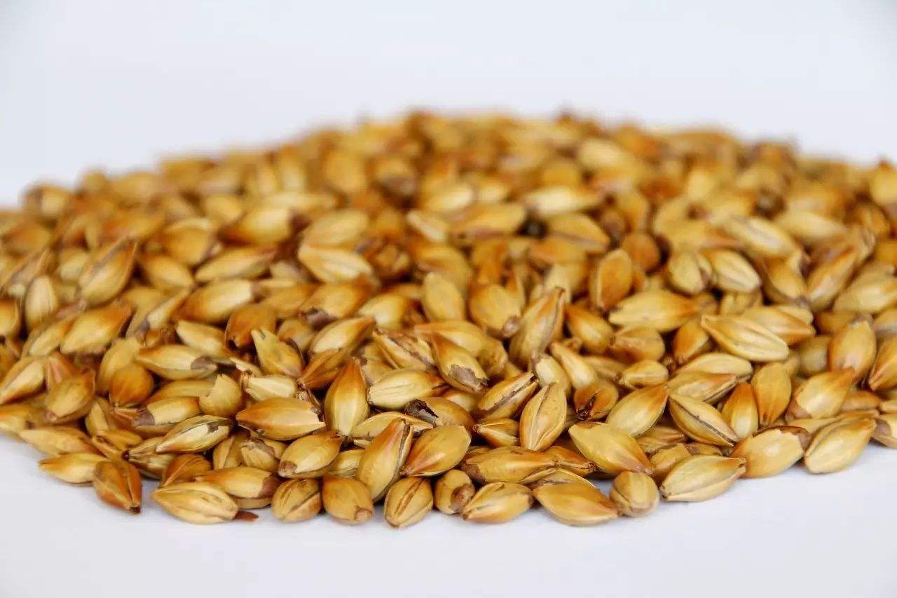 做精釀啤酒，如何選擇合適的粉碎機？